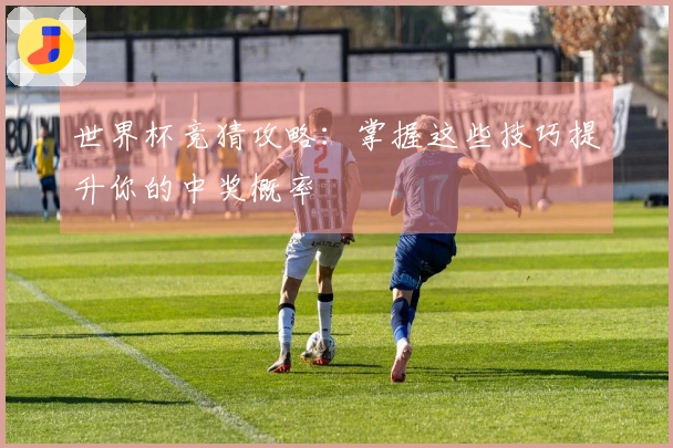 世界杯竞猜攻略：掌握这些技巧提升你的中奖概率
