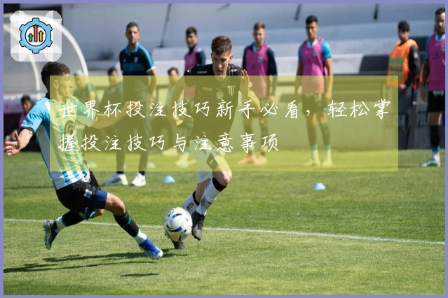 世界杯投注技巧新手必看，轻松掌握投注技巧与注意事项