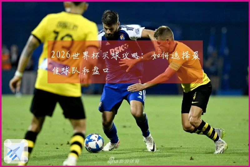 2026世界杯买球攻略：如何选择最佳球队和盘口