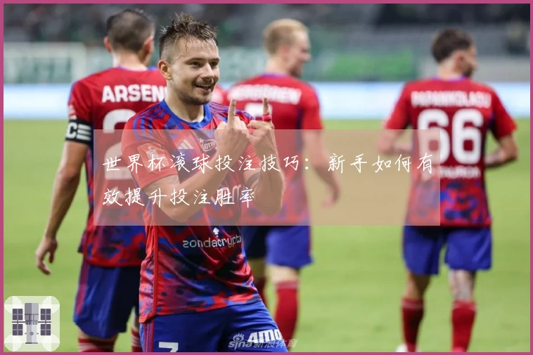世界杯滚球投注技巧：新手如何有效提升投注胜率