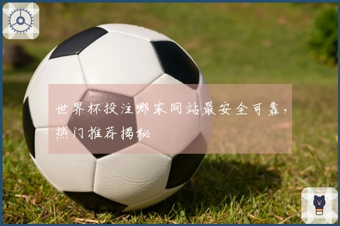 世界杯投注哪家网站最安全可靠，热门推荐揭秘