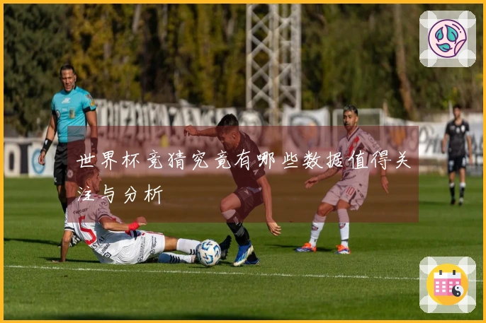 世界杯竞猜究竟有哪些数据值得关注与分析