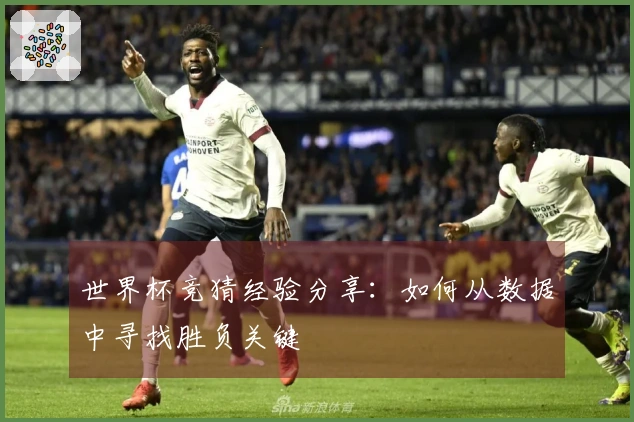 世界杯竞猜经验分享：如何从数据中寻找胜负关键