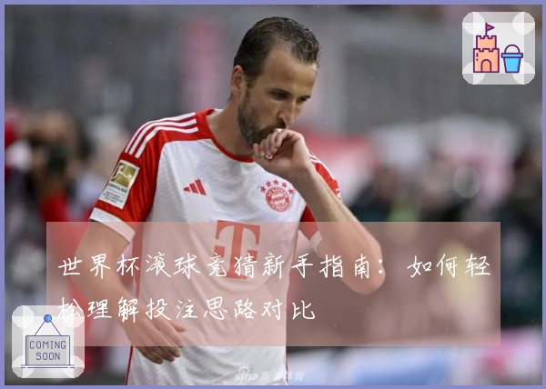 世界杯滚球竞猜新手指南：如何轻松理解投注思路对比
