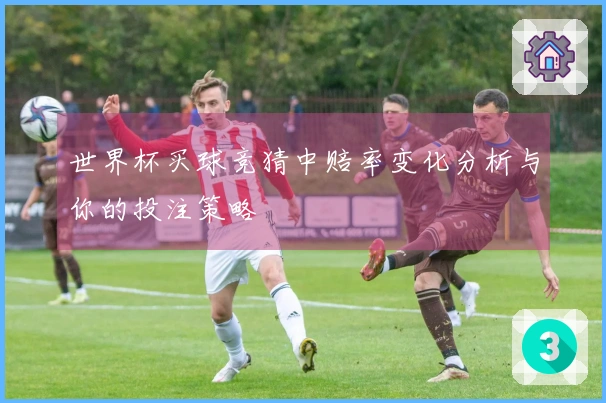 世界杯买球竞猜中赔率变化分析与你的投注策略