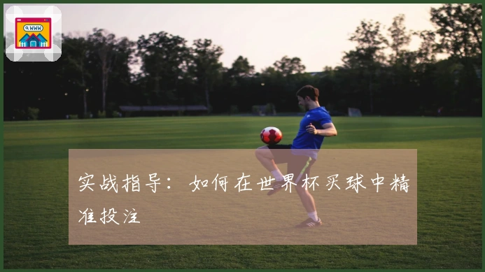 实战指导：如何在世界杯买球中精准投注