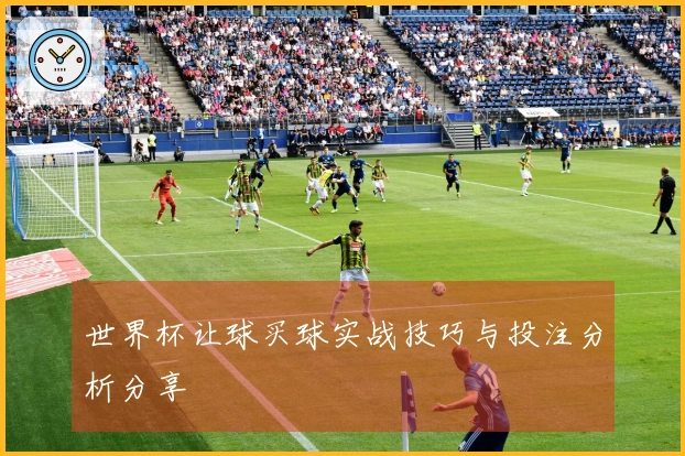 世界杯让球买球实战技巧与投注分析分享