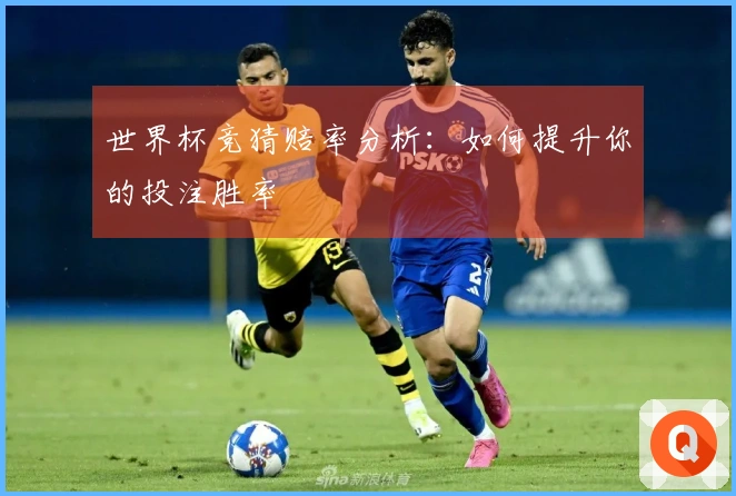 世界杯竞猜赔率分析：如何提升你的投注胜率