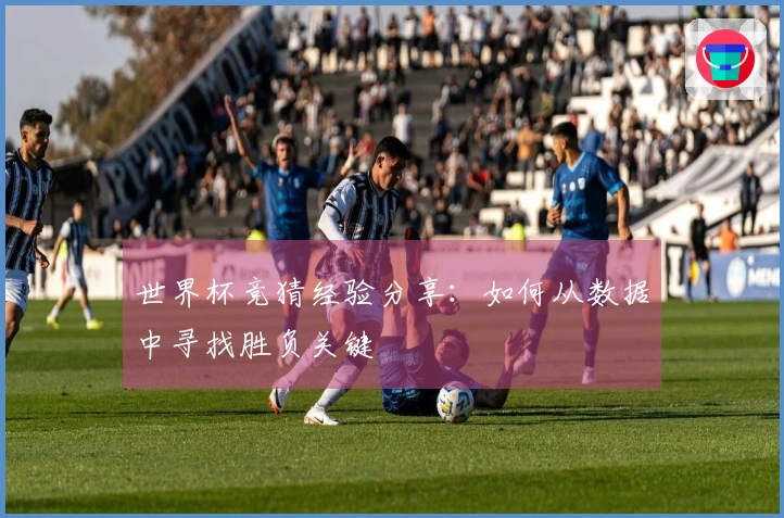 世界杯竞猜经验分享：如何从数据中寻找胜负关键