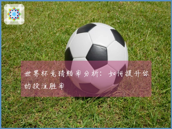 世界杯竞猜赔率分析：如何提升你的投注胜率