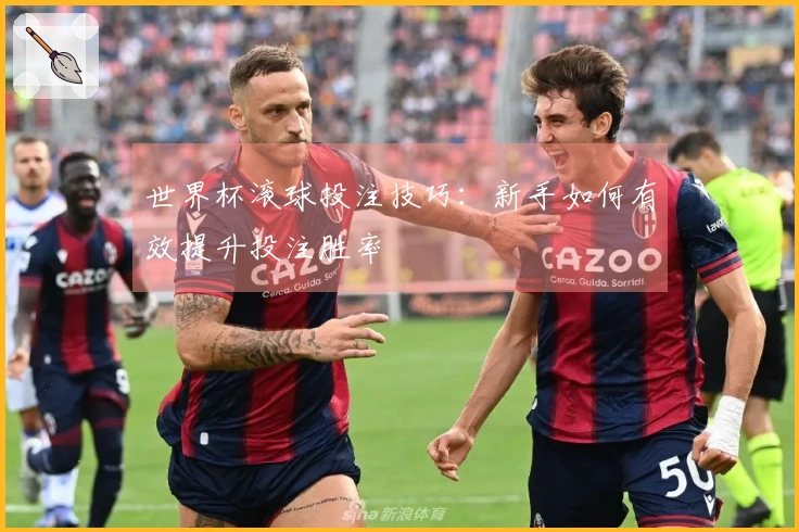 世界杯滚球投注技巧：新手如何有效提升投注胜率